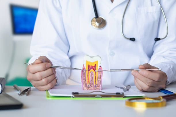 Best Emergency Dental Care for Trauma or Injury in Flippin, AR